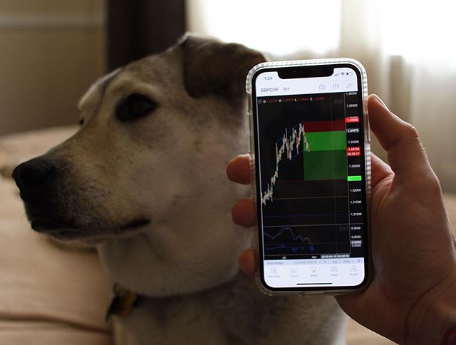 ชาร์ต TradingView บน Instagram @joey_vittorelli